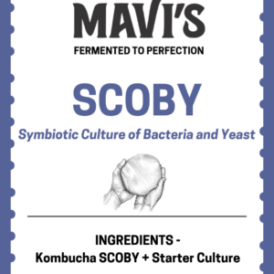 Live SCOBY and Starter Culture